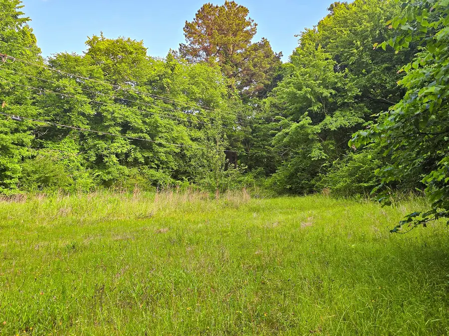 TBD W Cathy Street, Lone Star, TX 75668 - #3