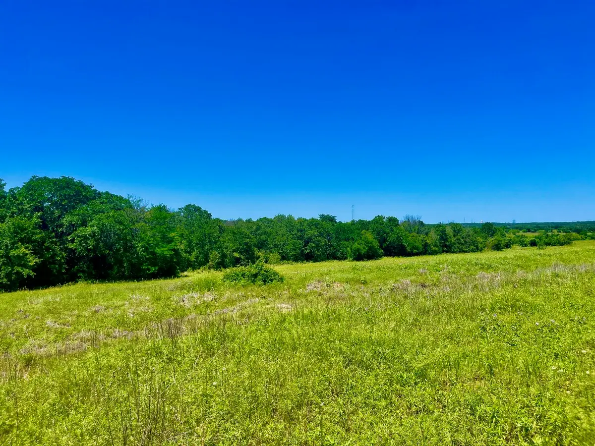 Lot 19 Kilkenny Rd, Poolville, TX 76487 - #1