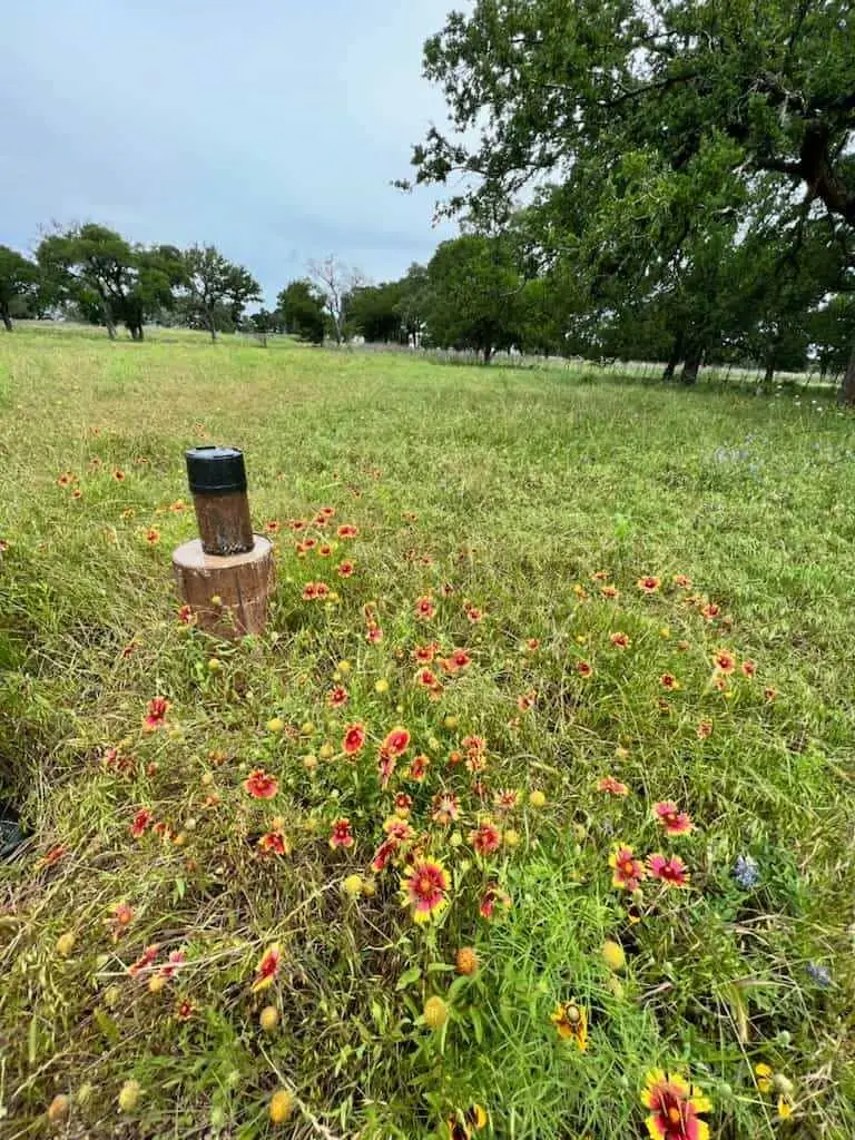 317 Yellowstone Drive, Oglesby, TX 76561 - #1