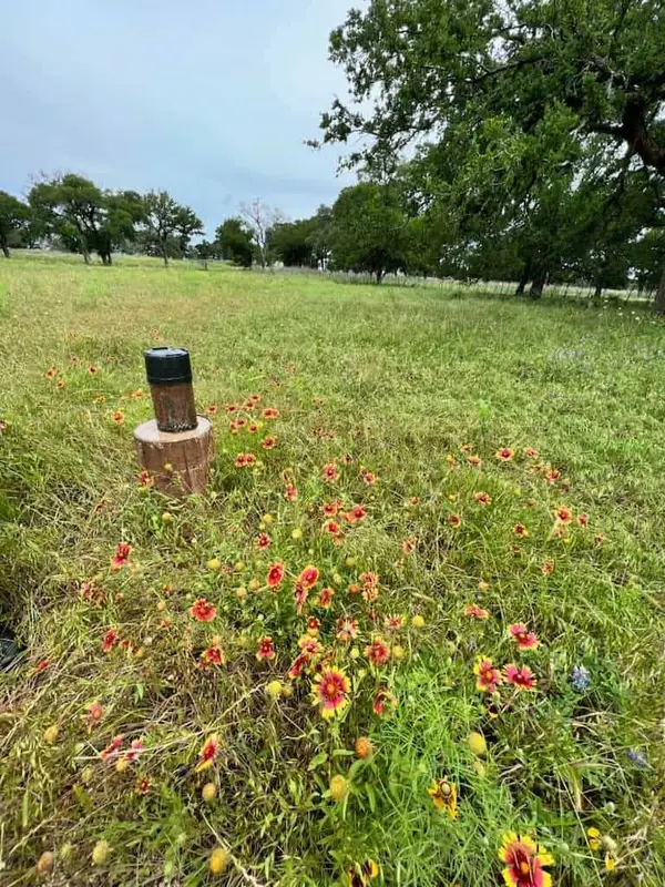 317 Yellowstone Drive, Oglesby, TX 76561