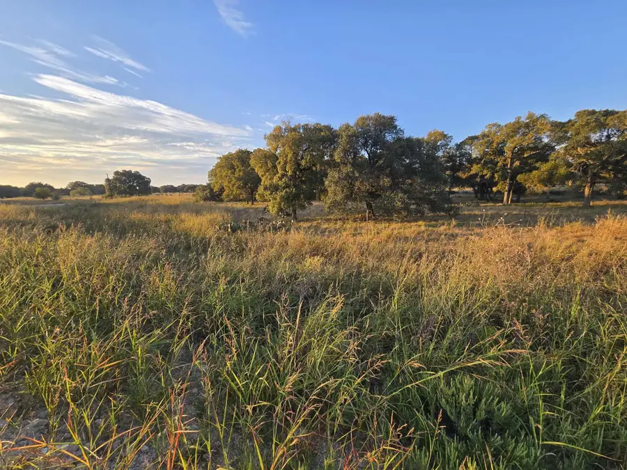 317 Yellowstone Drive, Oglesby, TX 76561 - #2