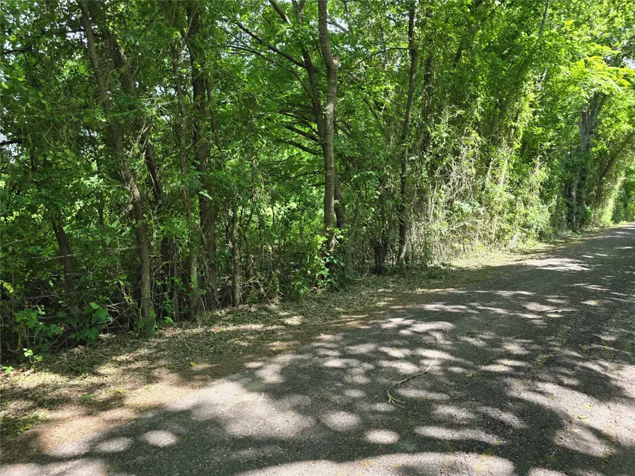 TBD County Road 1039, Blue Ridge, TX 75424 - #3