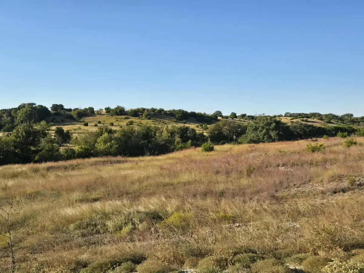 229 Grand Canyon Drive, Oglesby, TX 76561 - #1