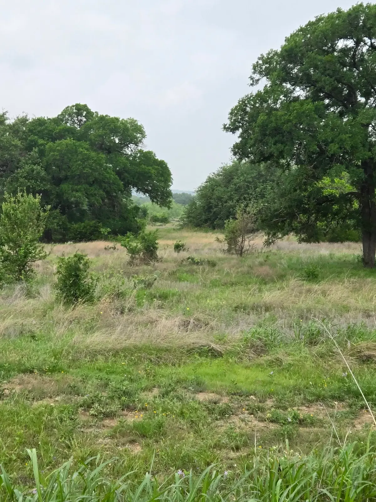 TBD Yosemite Drive, Oglesby, TX 76561 - #1