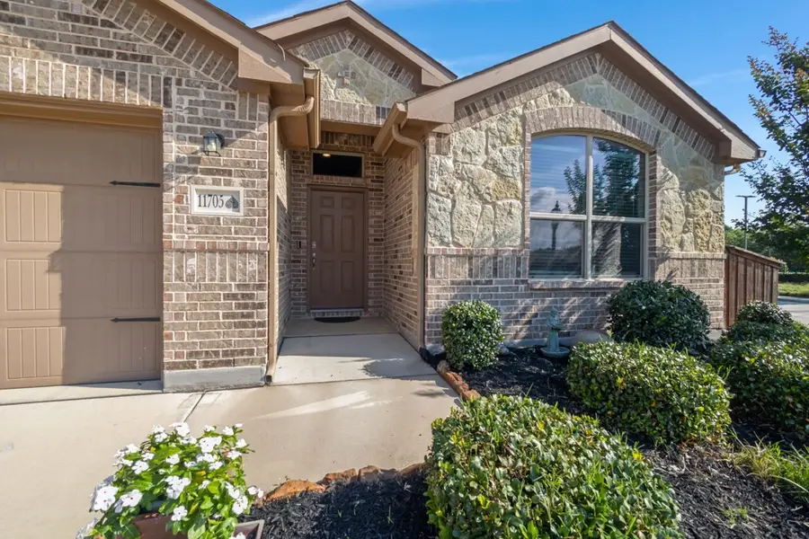 11705 Silver Queen Drive, Aubrey, TX 76227 - #3