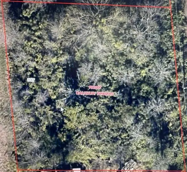 TBD LOT 121-122 Richard Drive, Gordonville, TX 76245
