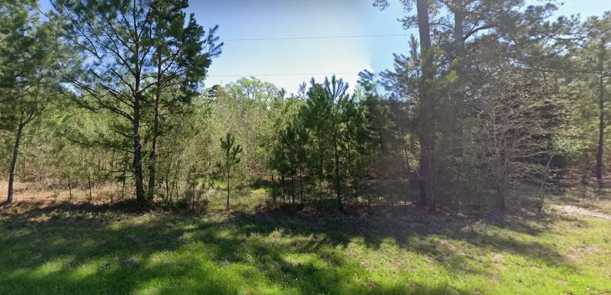4890 Fm 19, Palestine, TX 75803 - #1