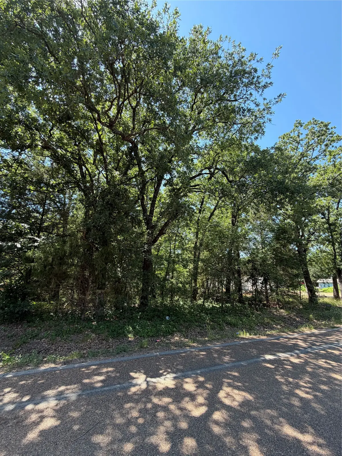 TBD Triple N Ranch, Trinidad, TX 75163 - #1