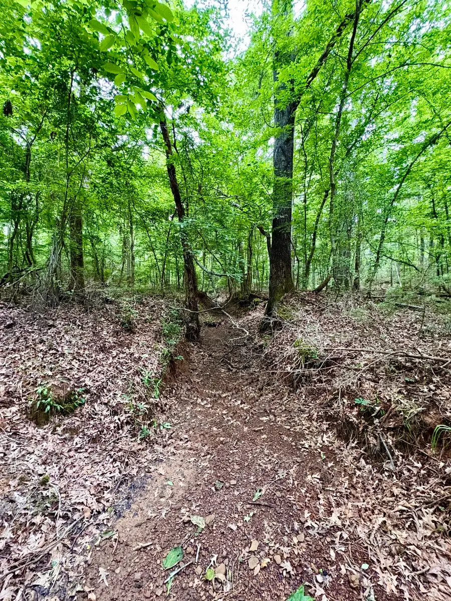 TBD County Road 4504, Jacksonville, TX 75766 - #2