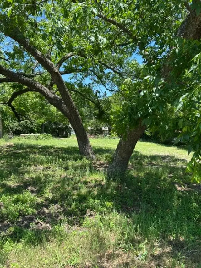 116 W Walnut Street, Whitewright, TX 75491 - #1
