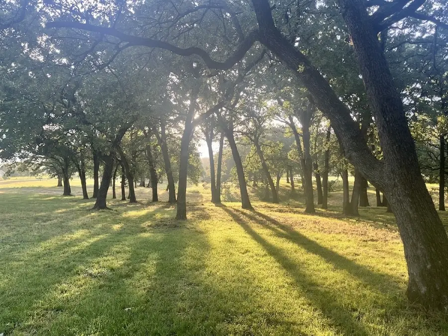 27659 Us Highway 377, Gordonville, TX 76245 - #3