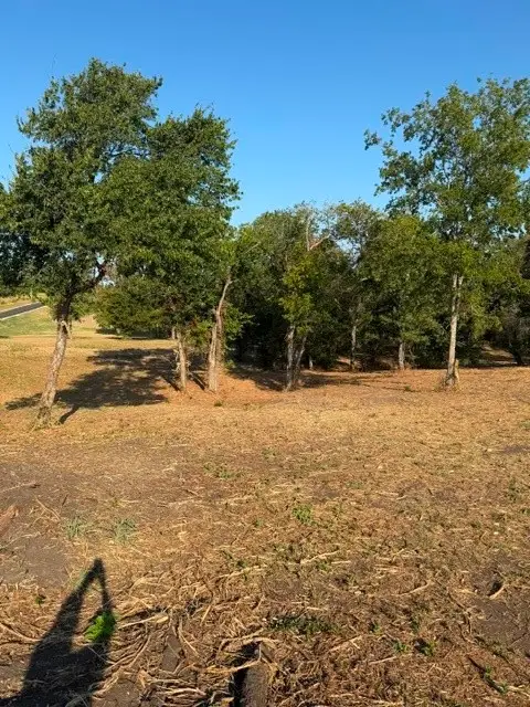 Lot 64 Fairway Parks, Corsicana, TX 75110 - #3