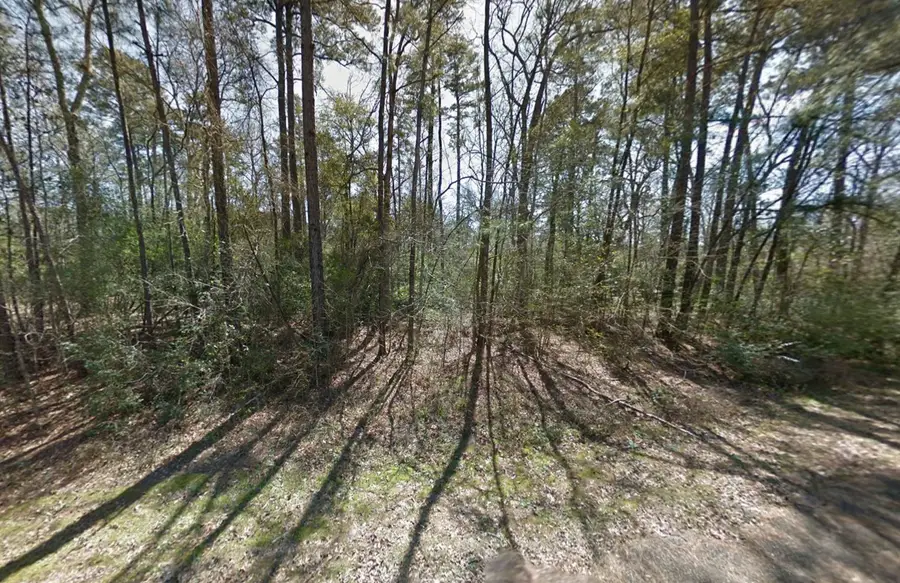 11760 Long Tree Lane, Southeast Montgomery, TX 77303 - #2