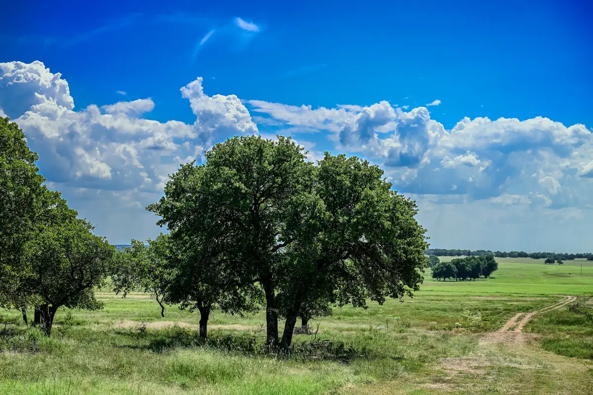 0001 W Pleasant Valley Road, Bellevue Joy, TX 76230 - #1