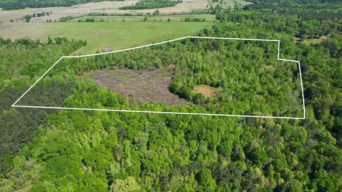 TBD Cr 1143, Daingerfield, TX 75638 - #1