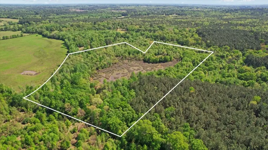 TBD Cr 1143, Daingerfield, TX 75638 - #3