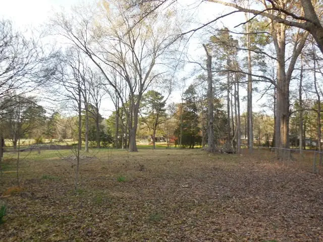 1104 Foreman Road, Doyline, LA 71023 - #3