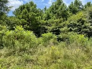 LOT 5 Fm 556, Pittsburg, TX 75686 - #3