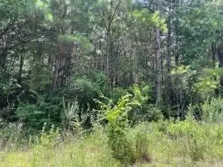 LOT 7 Fm 556, Pittsburg, TX 75686 - #3