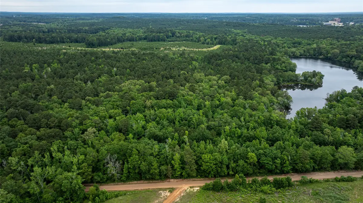 0 Victory School Road, Avinger, TX 75630 - #1