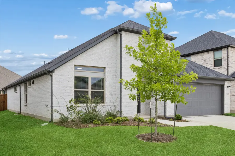 361 Silver Springs Lane, Lavon, TX 75166 - #2