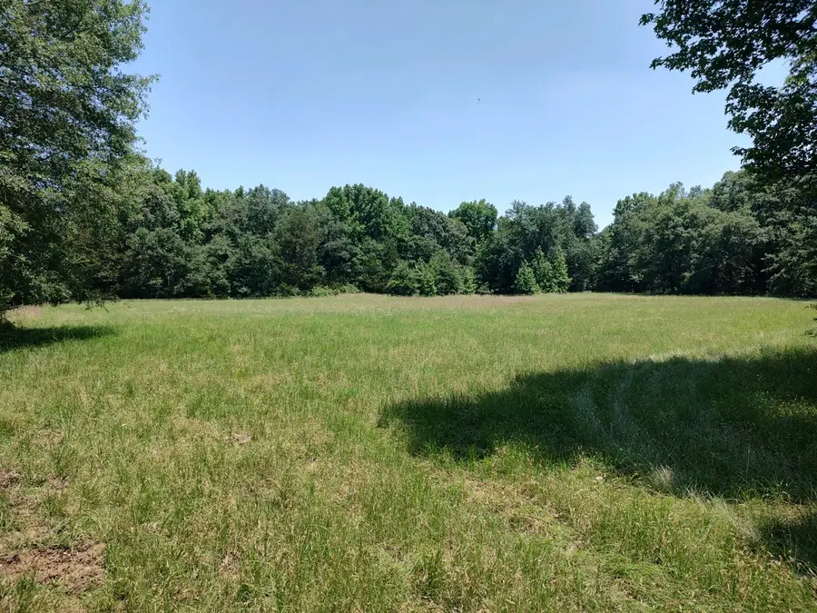 TBD 55.644 Acres County Road 1807, Yantis, TX 75497 - #2