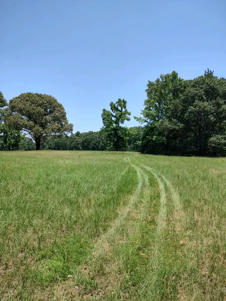 TBD 55.644 Acres County Road 1807, Yantis, TX 75497 - #3