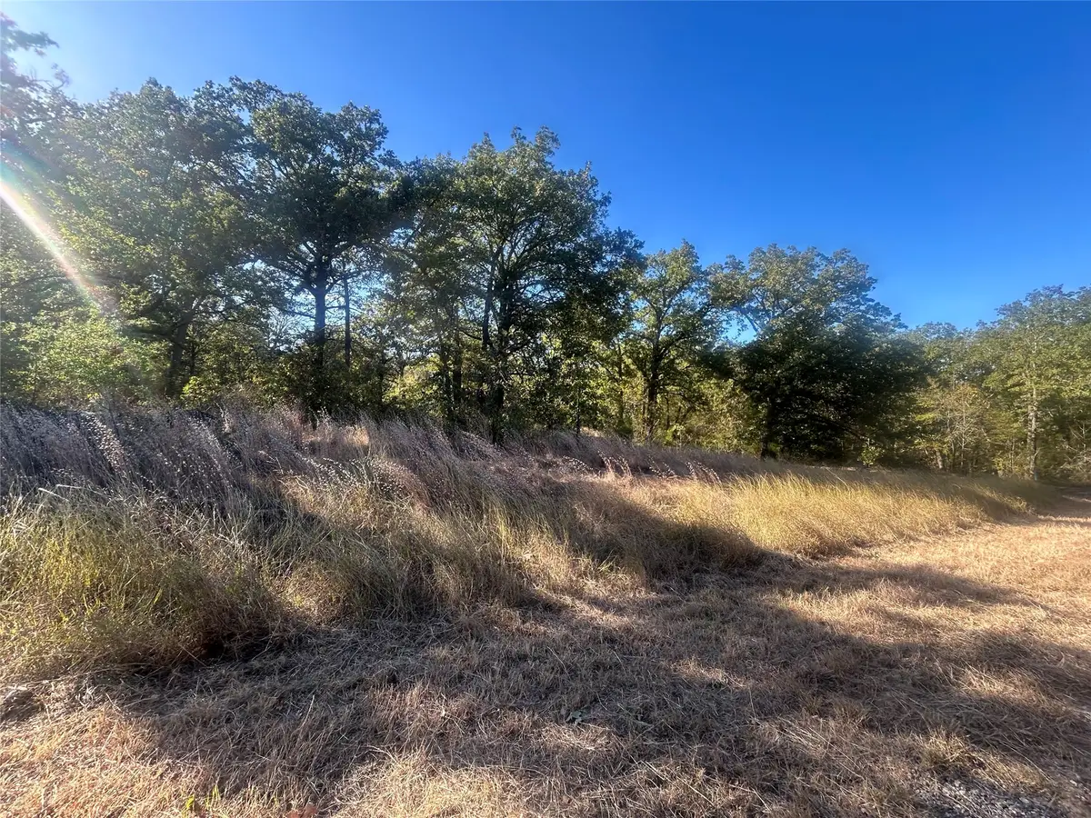 58 Point Lavista, Malakoff, TX 75148 - #1