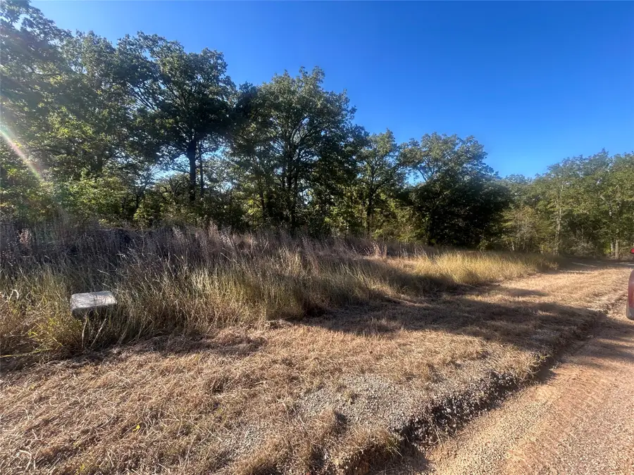 58 Point Lavista, Malakoff, TX 75148 - #2