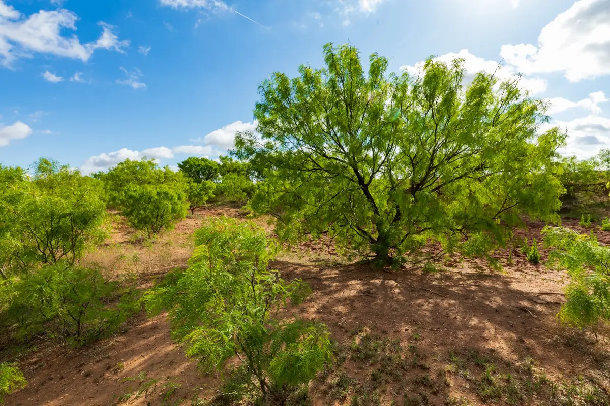 600 Fm 600, Haskell, TX 79553 - #1