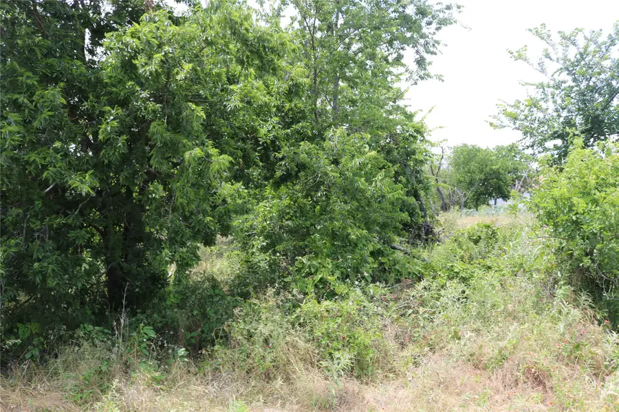 000 State Highway 6, Dublin, TX 76446 - #2