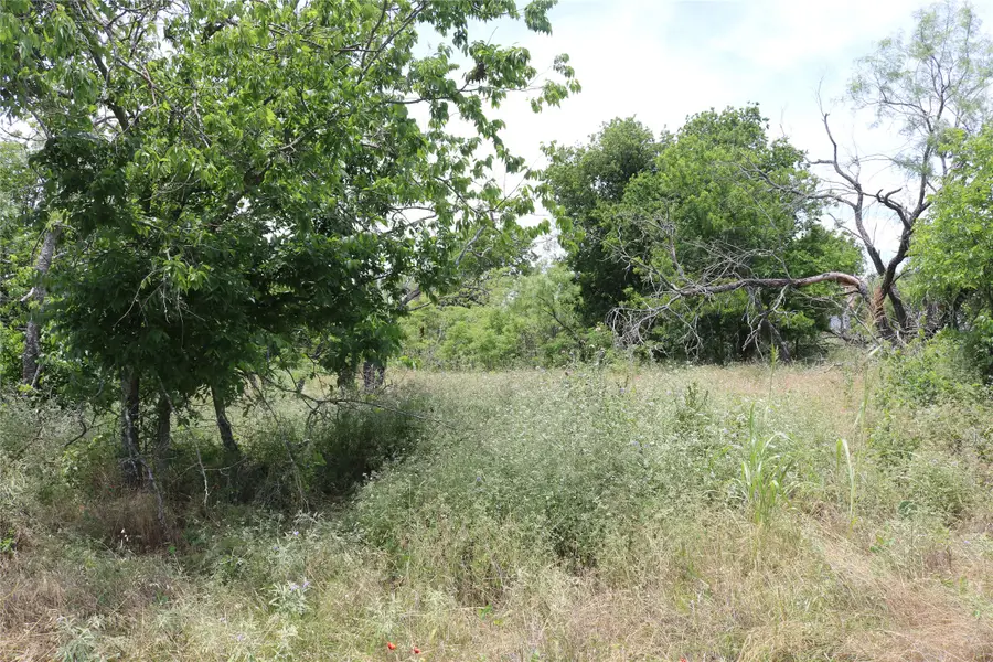 000 State Highway 6, Dublin, TX 76446 - #3