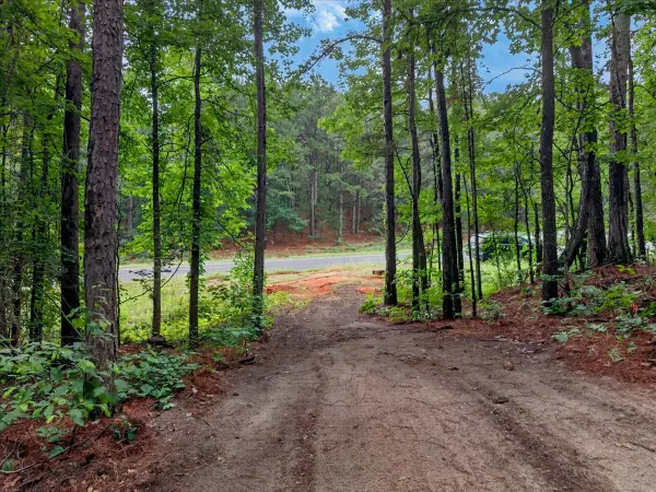 Tract 53.1 Hwy 31, Tyler, TX 75705