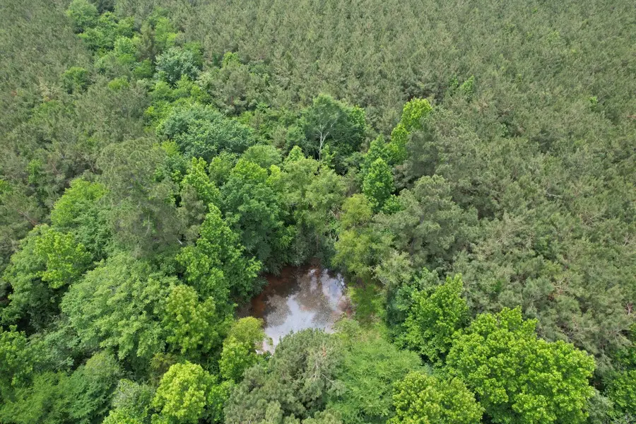 TBD-A County Road 3163, Laneville, TX 75667 - #2
