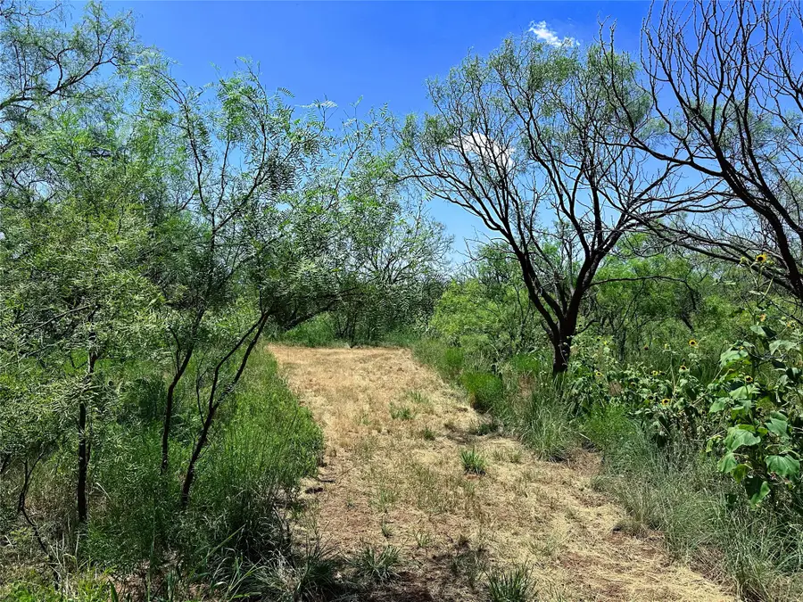 TBD (East Tract) County Road 356, Anson, TX 79501 - #2