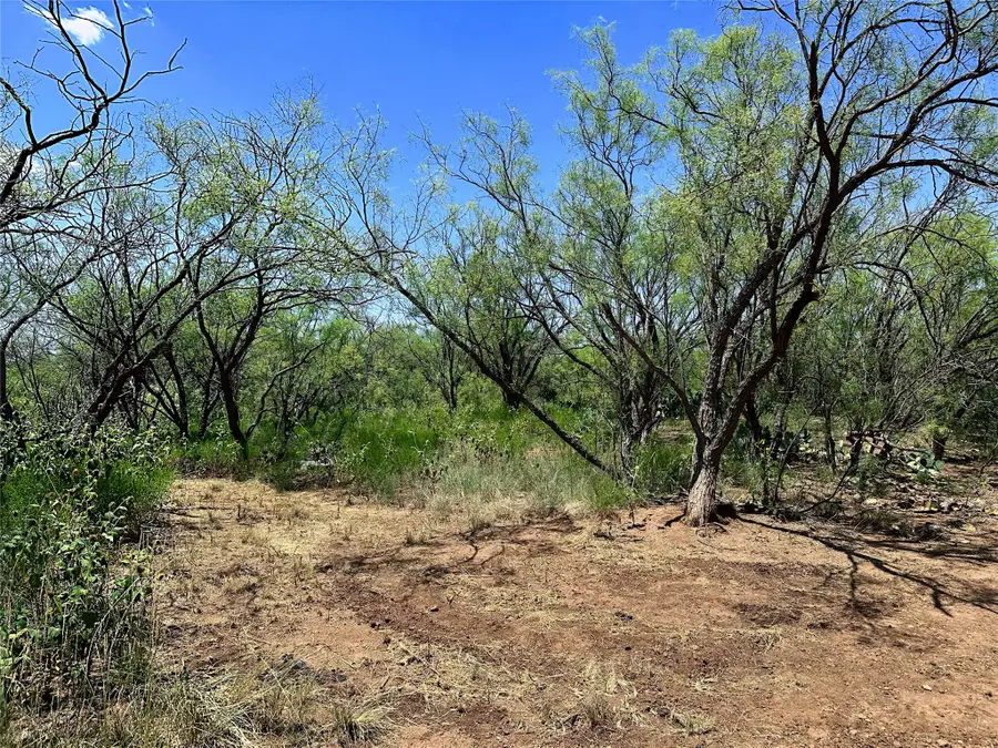 TBD (East Tract) County Road 356, Anson, TX 79501 - #3