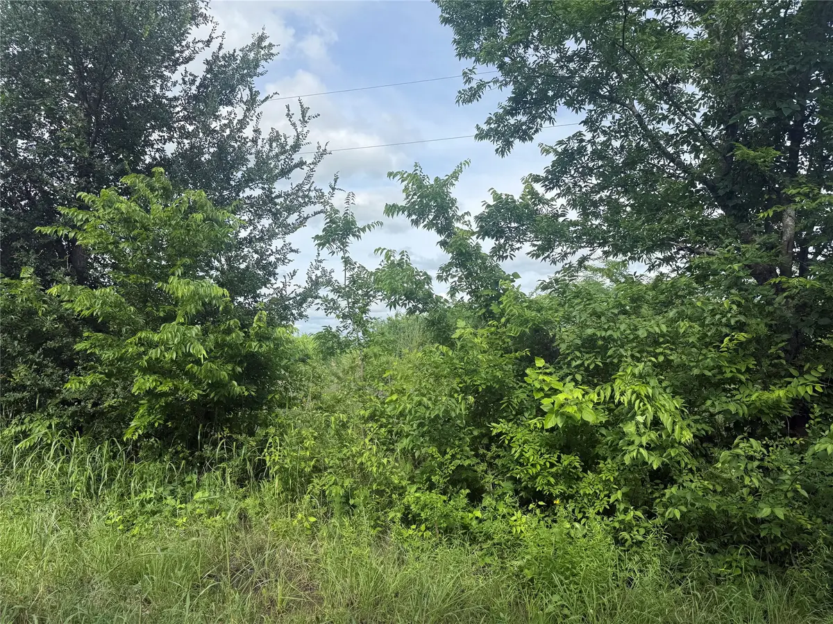 3179 County Road 22900, Paris, TX 75460 - #1