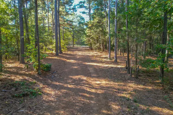 7821 Cr 3409, Chandler, TX 75758