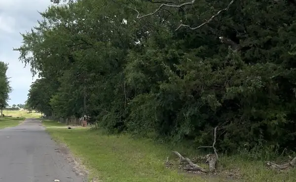 County Road 1805, Grand Saline, TX 75140