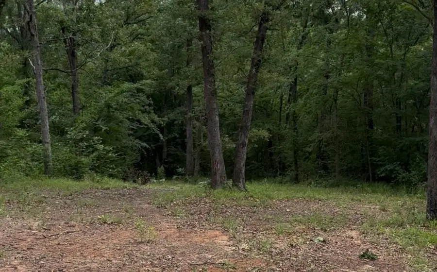 County Road 1805, Grand Saline, TX 75140 - #2