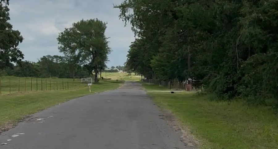 County Road 1805, Grand Saline, TX 75140 - #3
