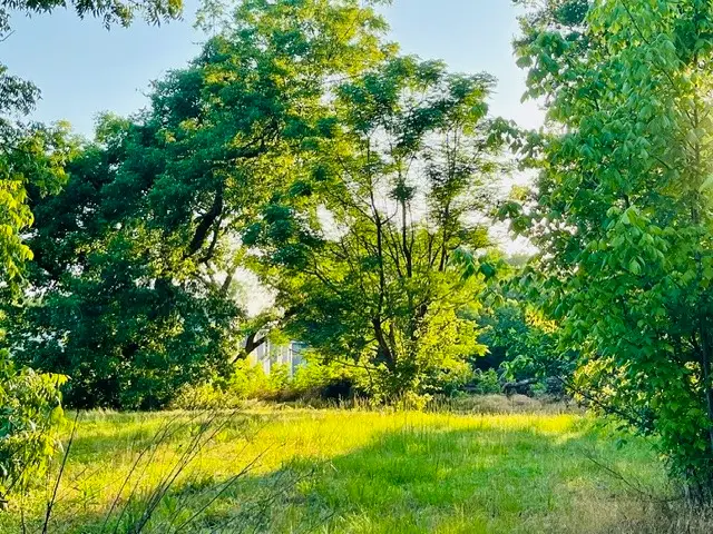 628 S Johnson Street, Mineola, TX 75773 - #1