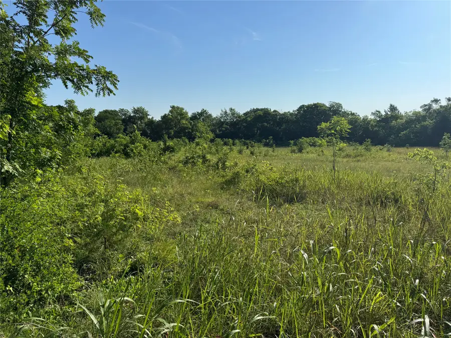 TBD Ball Road, Whitewright, TX 75491 - #2