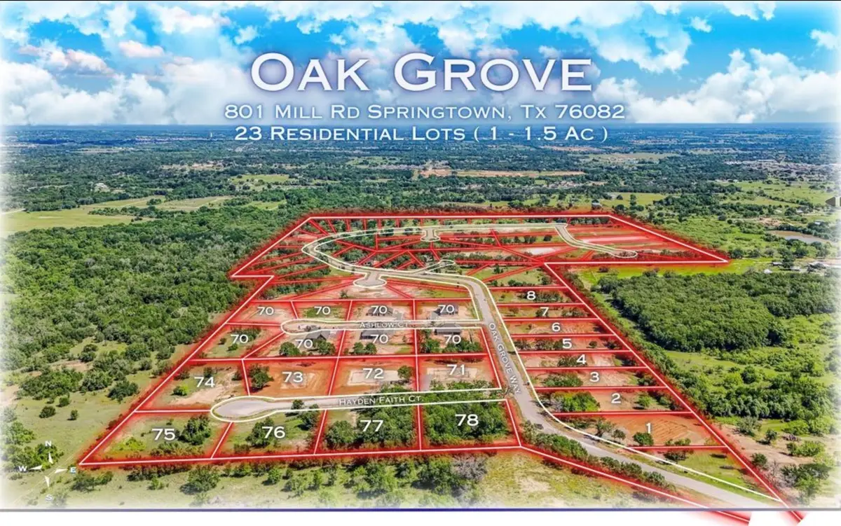 181 Oak Grove Way, Springtown, TX 76082 - #1