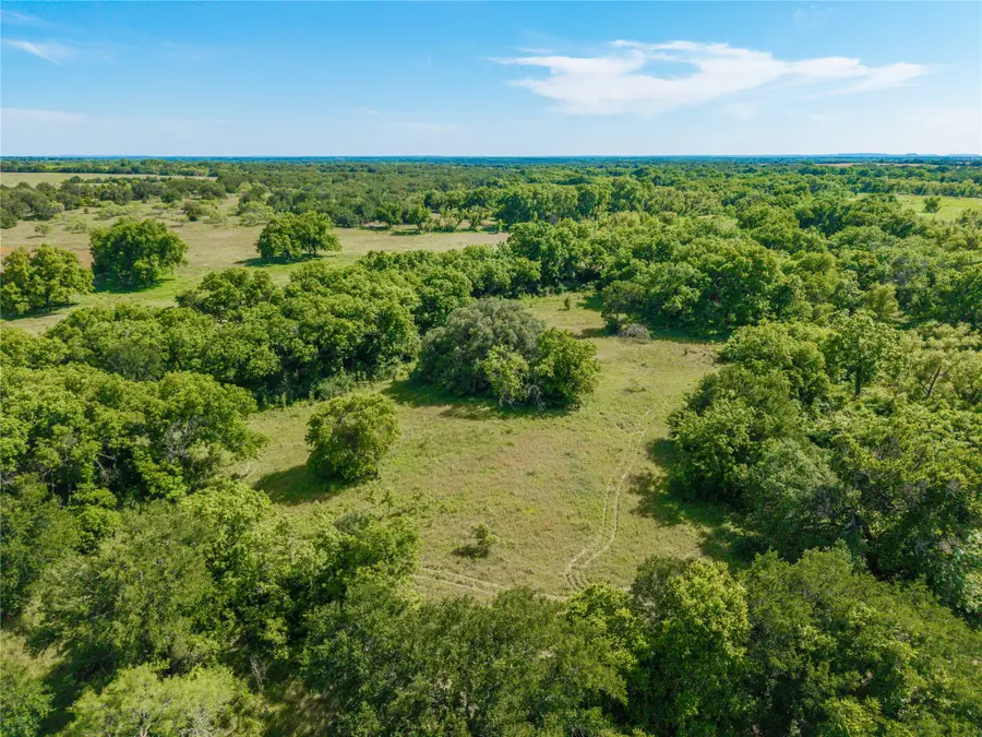 92.195 Acres TBD County Road 434, De Leon, TX 76446 - #3