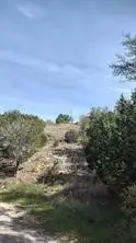 2611 Steepleridge Circle, Granbury, TX 76048