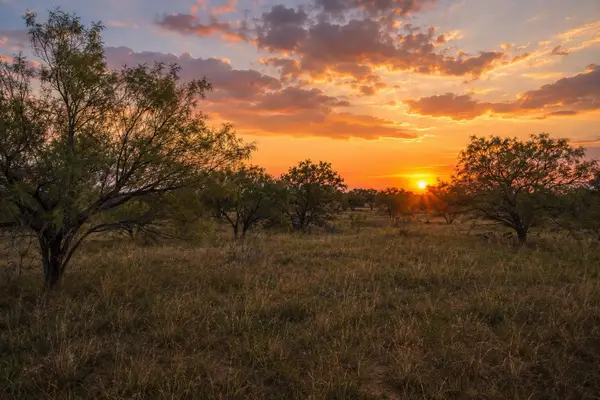 TBD 13.345 ACRES Cr 107, Abilene, TX 79601