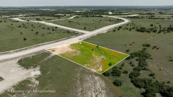 3004 Lucky Pepper Drive, Cresson, TX 76035