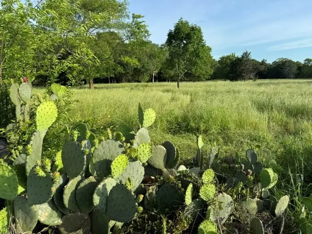 NA County Road 1730, Yantis, TX 75497 - #2