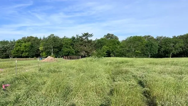 NA County Road 1730, Yantis, TX 75497 - #3